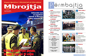 mbrojtja 11 2015