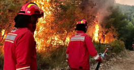 homepage zjarret 12824