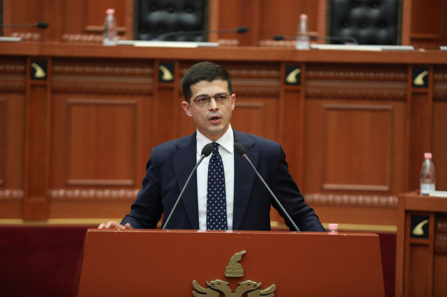 homeartikull vengu parlament 131224