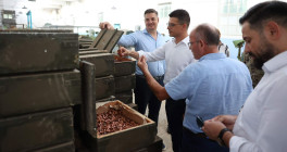 homepage vengu gramsh 270824