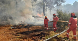 homepage zjarr vajgurore 230824