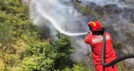 zjarret 280824 homepage