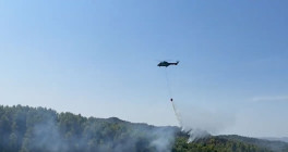 zjarret cougar 260824