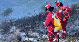 zjarret homepage 310824