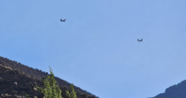 homepage canadair 100724