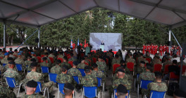 auster wolf vengu 240924