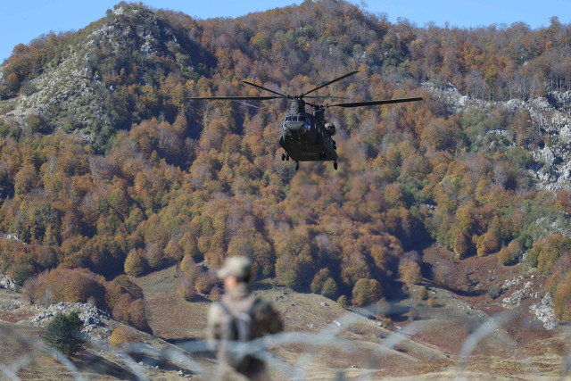 homepage wolf 190924 01