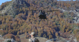 homepage wolf 190924 ok