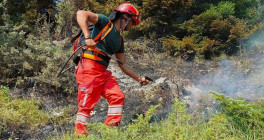 zjarret homepage 010924