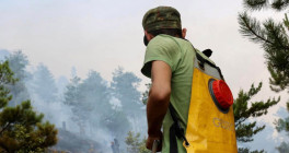 zjarret homepage 020924