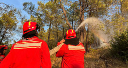 zjarret homepage 030924