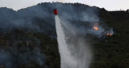 zjarret homepage 040924