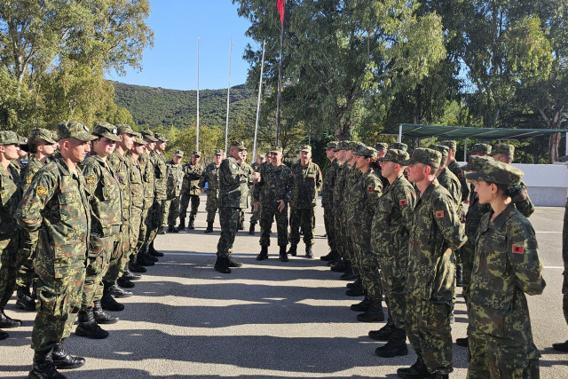 241024 homeartbunavi kingji